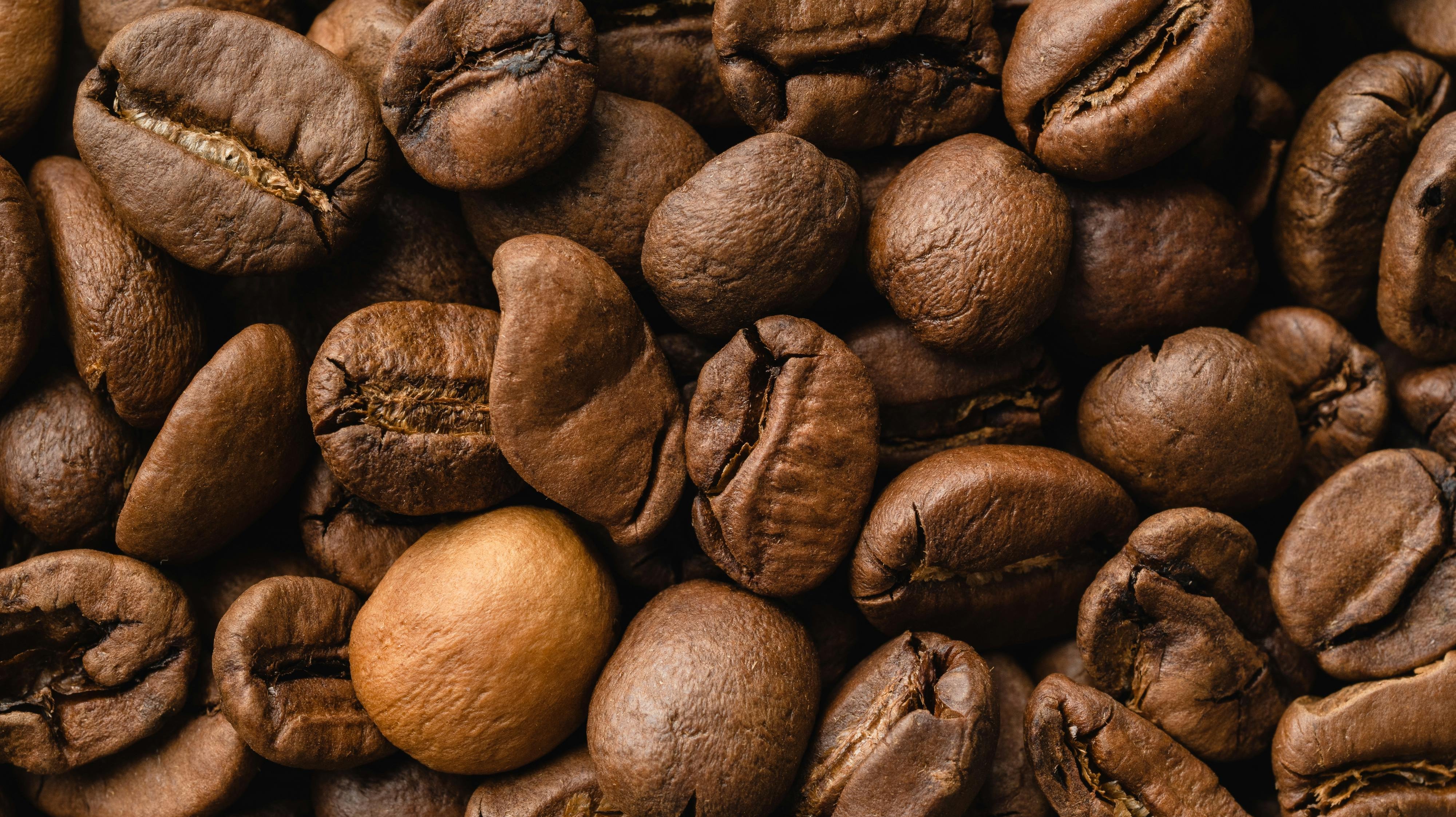 What is coffee? Where does it come from?