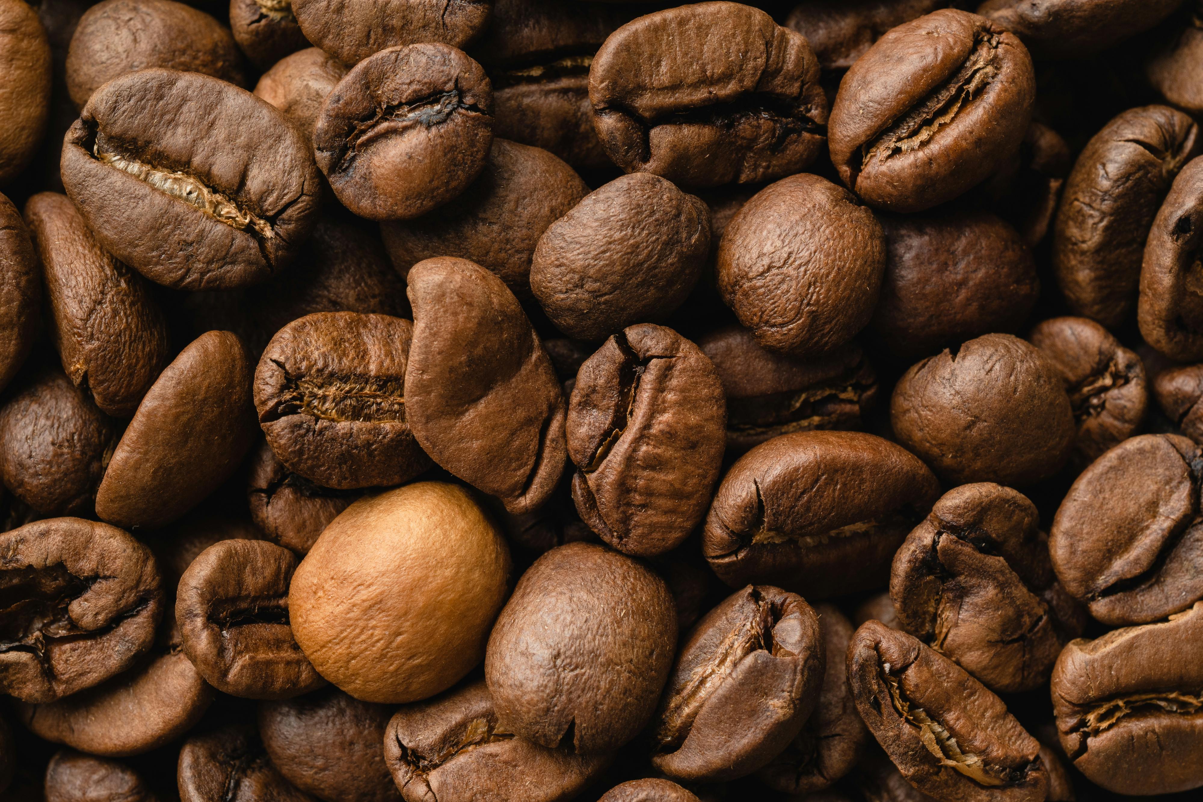 What is coffee? Where does it come from?